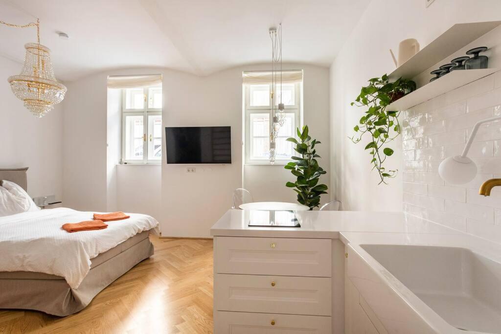 St. Elizabeth 2 Apartment Wina Bagian luar foto